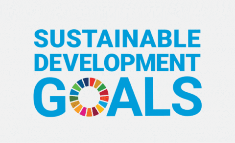 Sustainable Development Goals